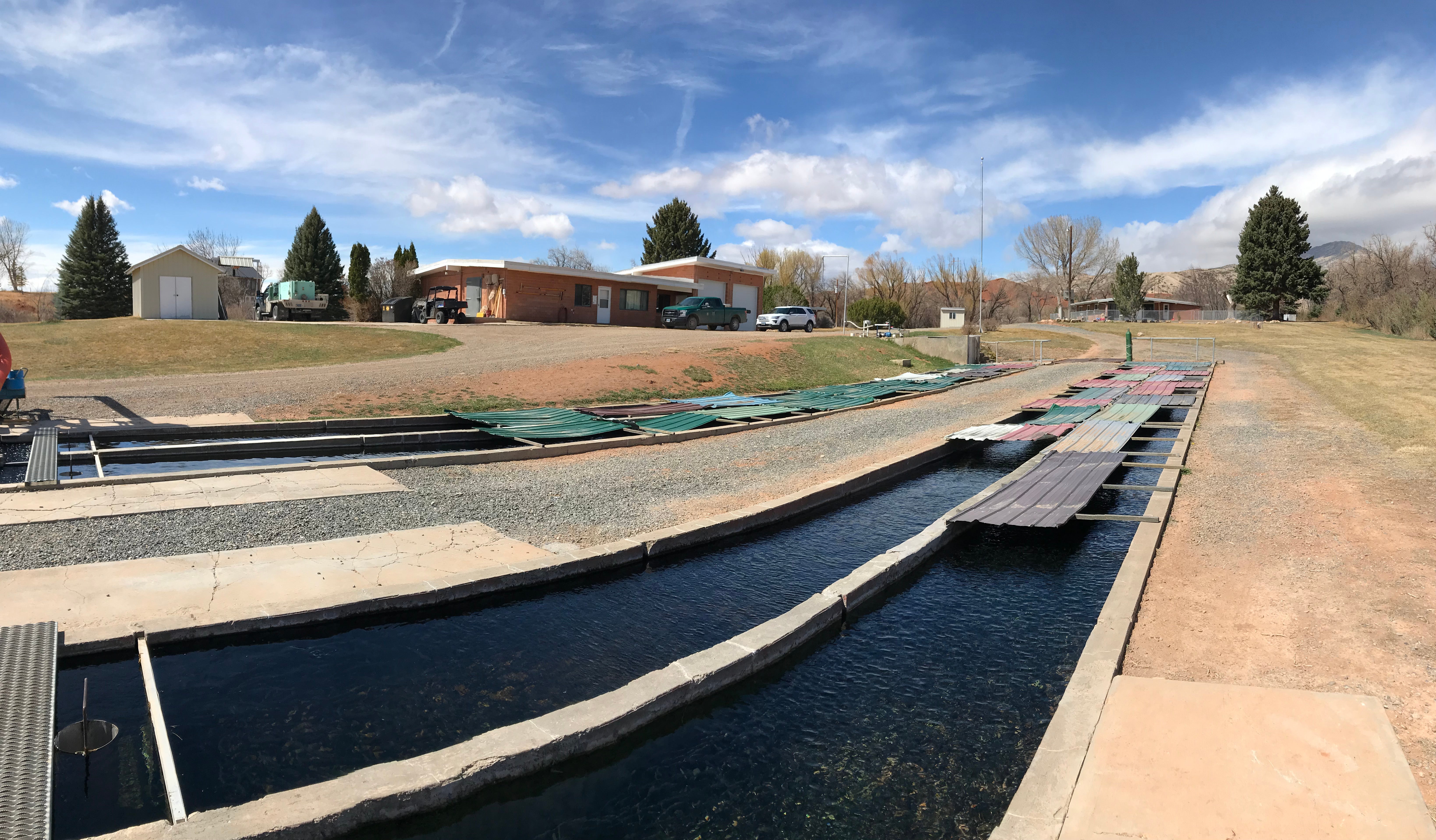 A view of the concrete raceways with the office building in the background at Tillett Springs Rearing Station