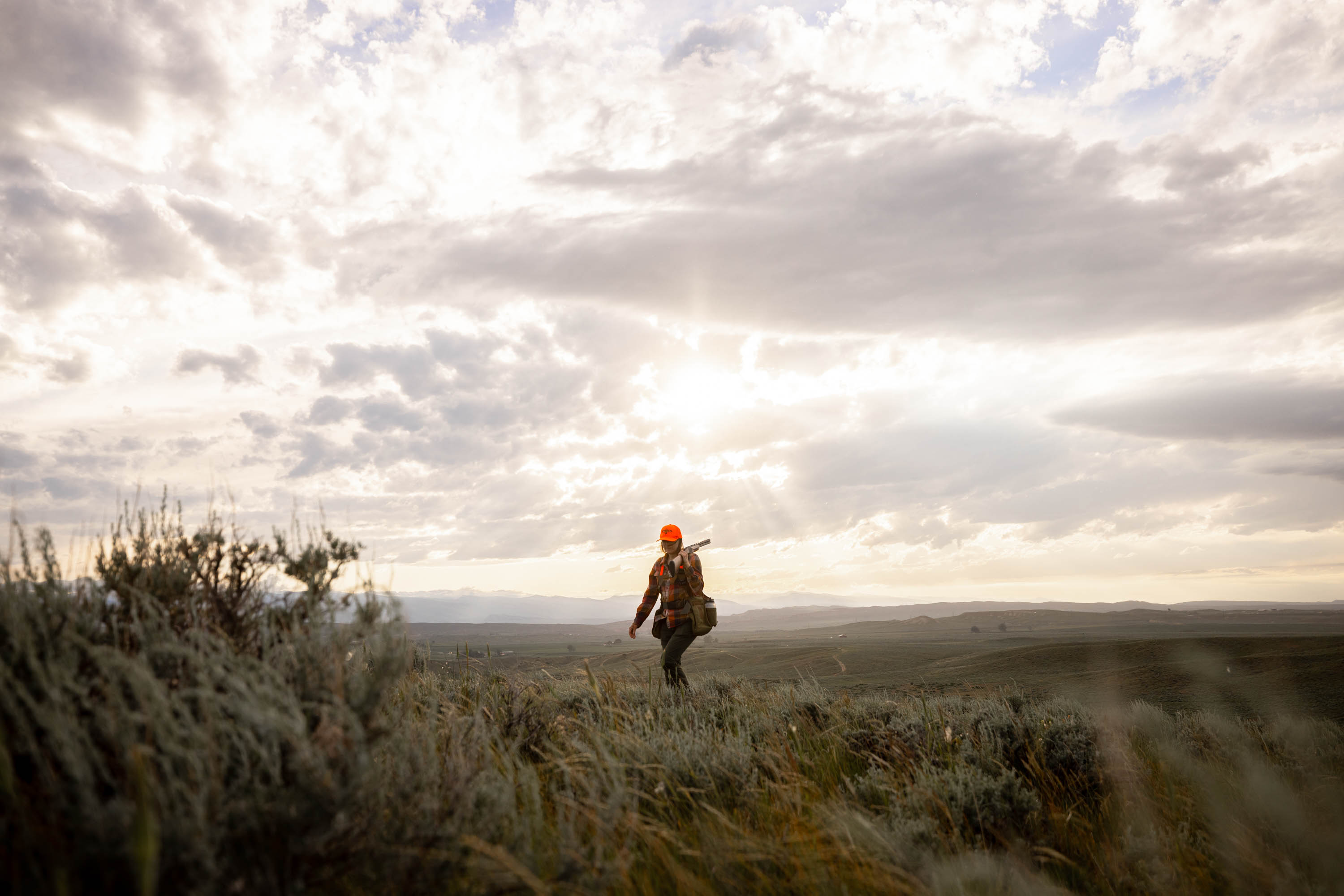 Grouse Hunting