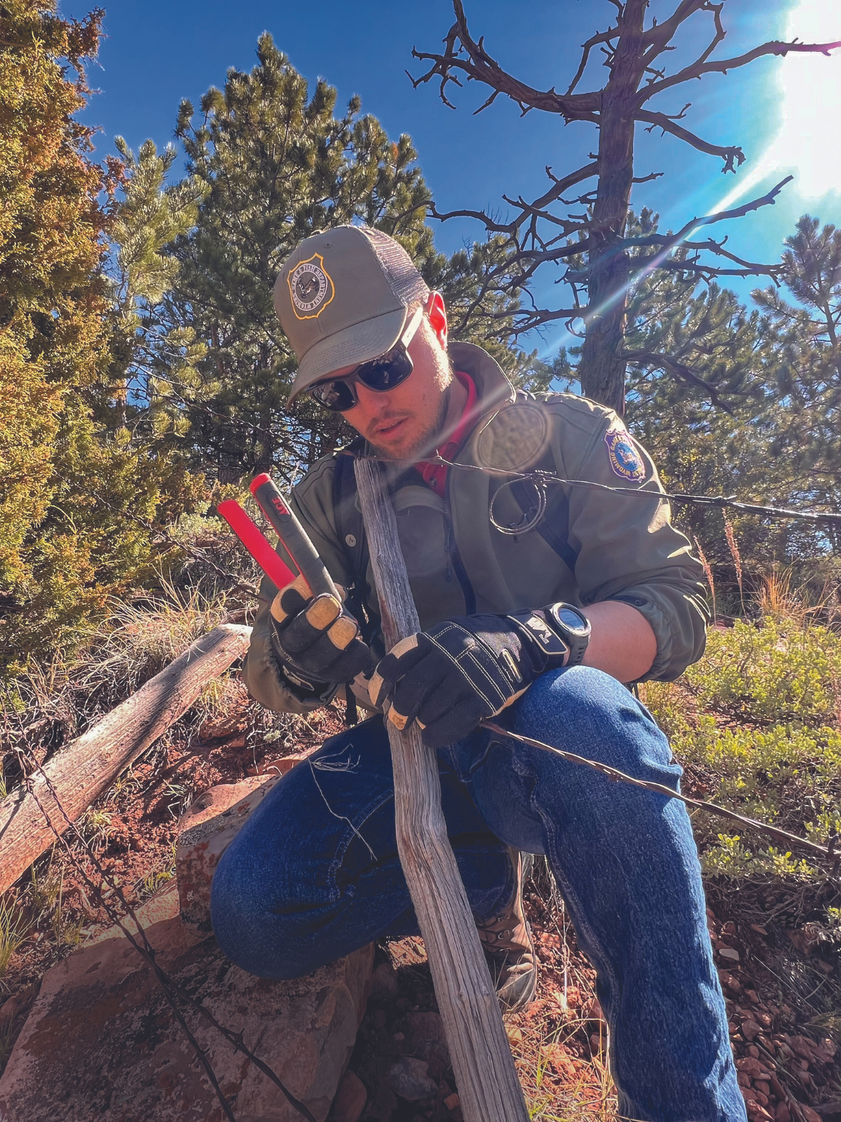 A Wyoming Game and Fish employee uses fencing pliers to remove an old barbed wire fence at the Pilot Hill Wildlife Habitat Management area.