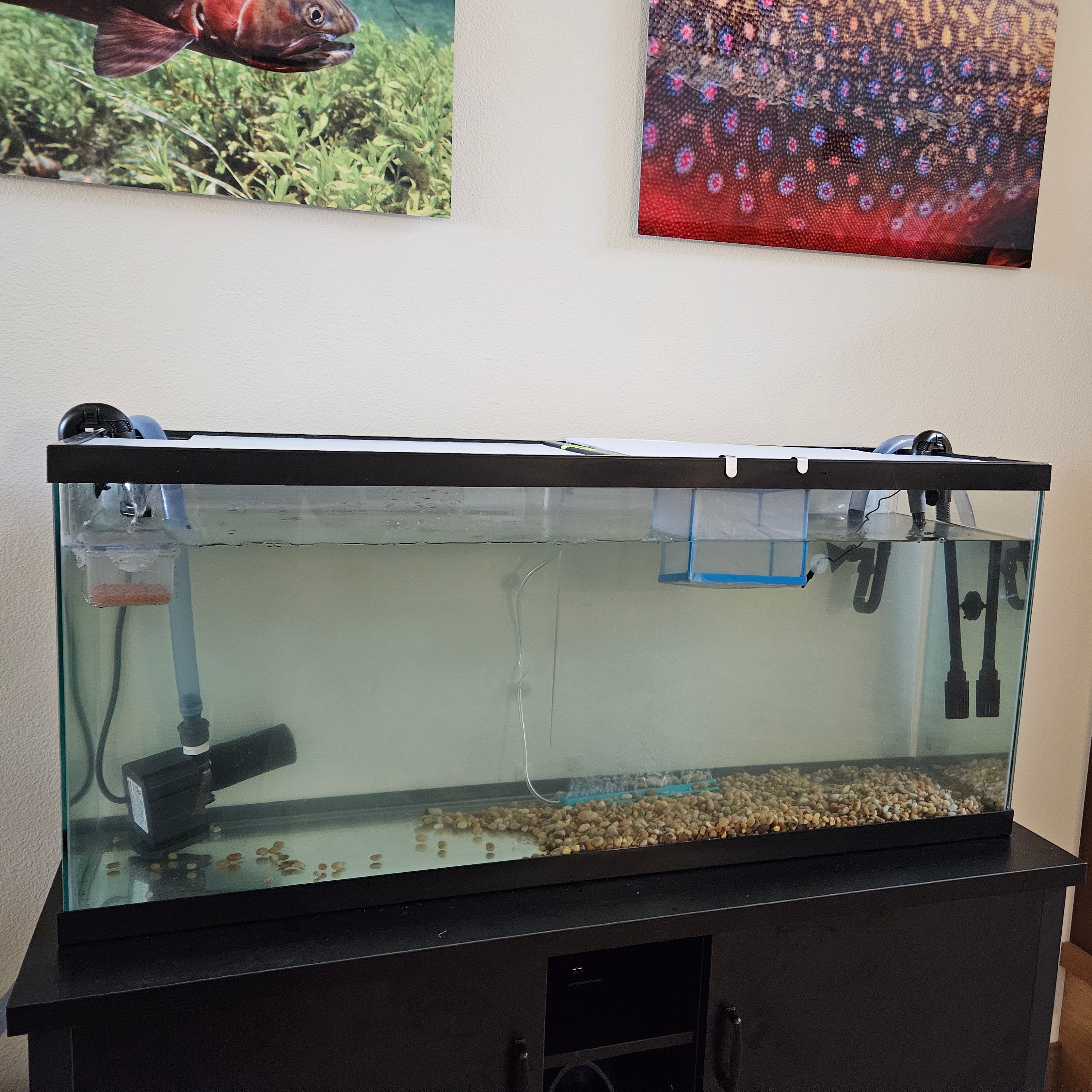 The entire tank and filter setup is roughly 6 feet long and 4 feet tall.