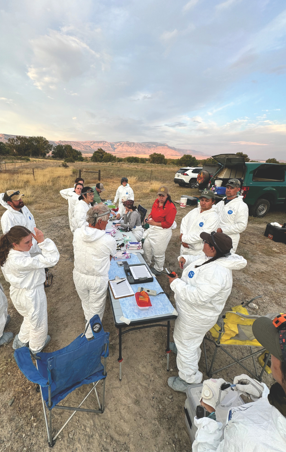 Collaborators from Game and Fish, United States Geological Survey, Colorado State University, U.S. Fish and Wildlife Service, University of Wyoming, Montana Fish, Wildlife and Parks, Northwest College and the Draper Natural History Museum prepare to capture bats for the USGS white-nose syndrome trial. 