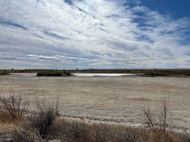 Reservoir 2 at Sand Mesa WHMA