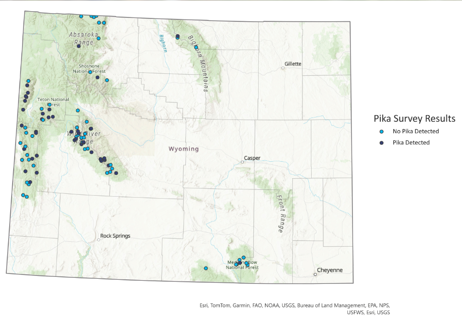 A map of Wyoming showing pika survey sites and results