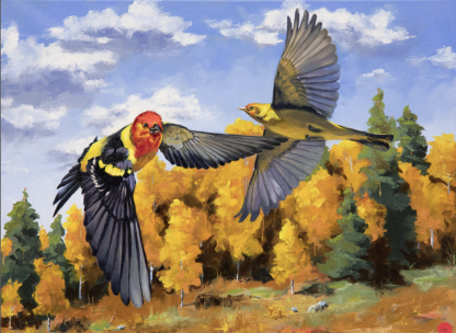 A male and female western tanager next to one another in flight with a forest in fall in the background, with gold and green trees under a partly cloudy sky.