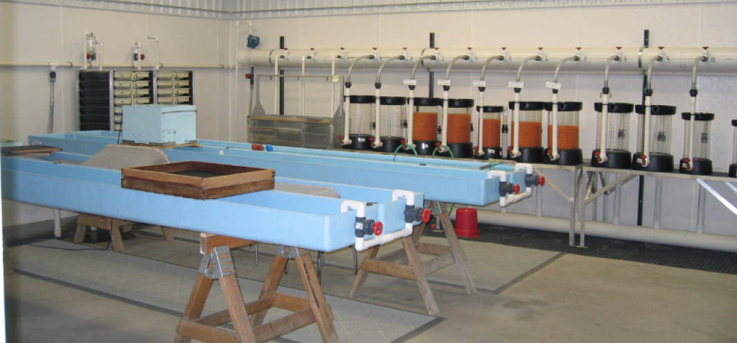 Fiberglass troughs at Auburn Fish Hatchery