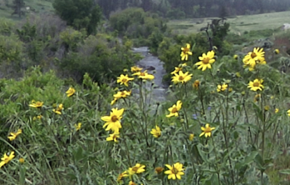 Bookout Ranch | Laramie Region