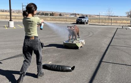 Practicing with inert bear spray on robo bear 